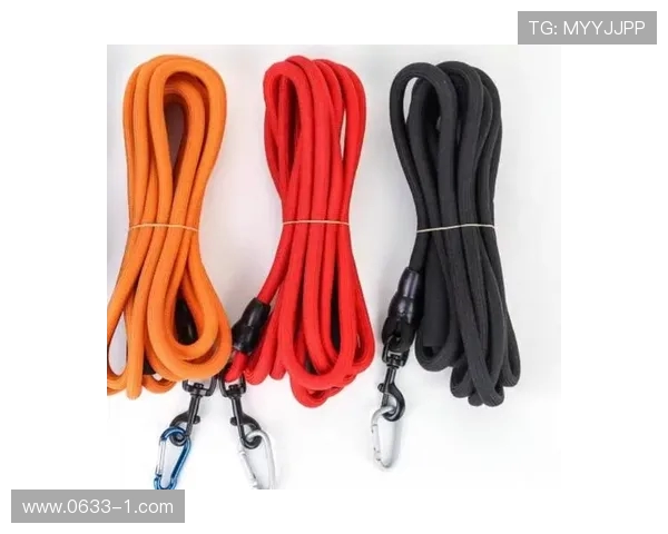 滑板战术解析：深圳滑板队如何构建高效反击体系与战术协同